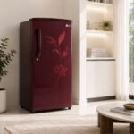 Fridge (160–185 Ltr, Single Door) - Image 3